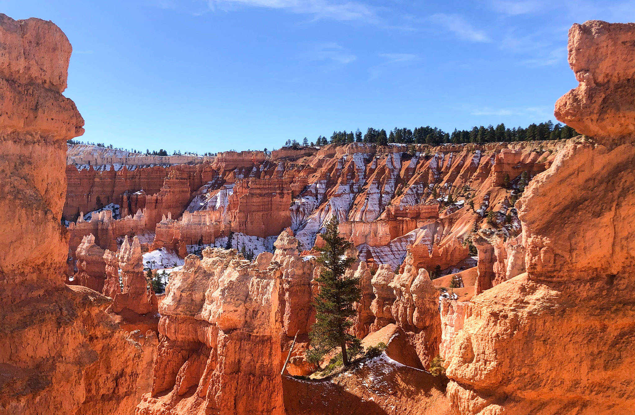 A Half Day In Bryce Canyon National Park Itinerary • Lunar Kitchen